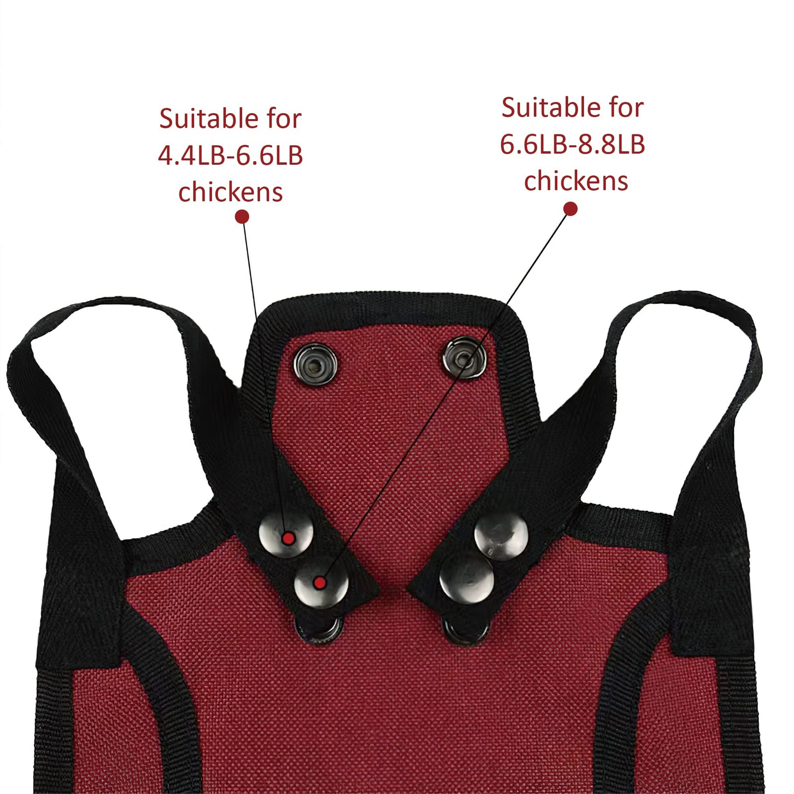 Chicken Saddles for Outdoor hens Apron Back Protector with Adjustable Strap