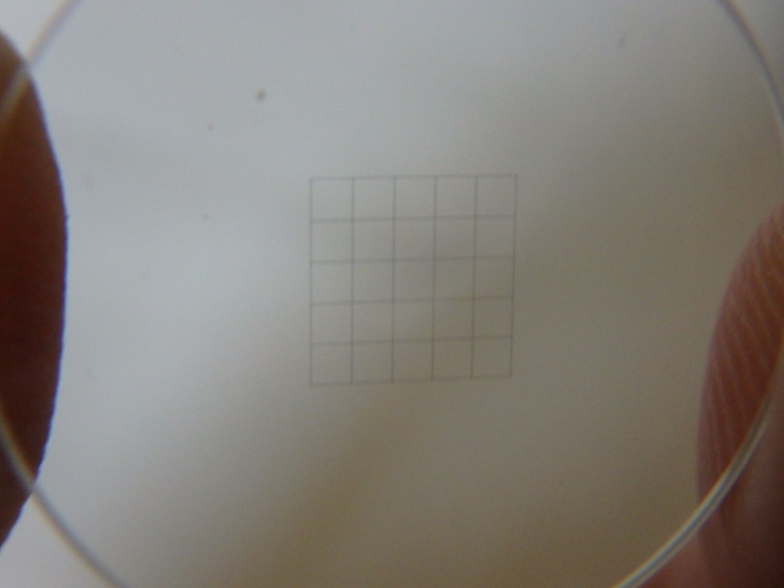Eyepiece graticule 20.5mm for microscope ; grid 5x5 1mm each