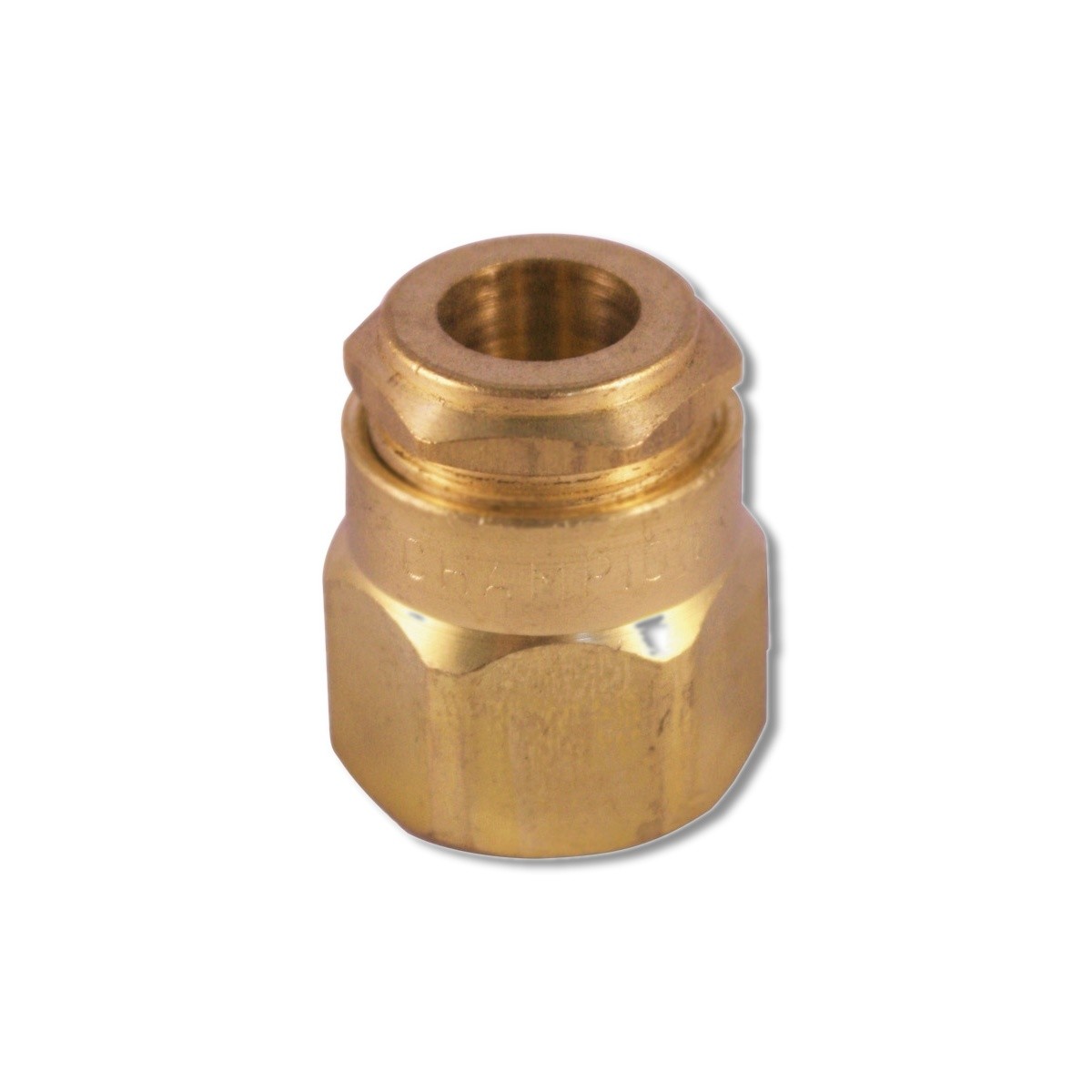 Champion 1/2 in X 1 in Brass Riser B6F