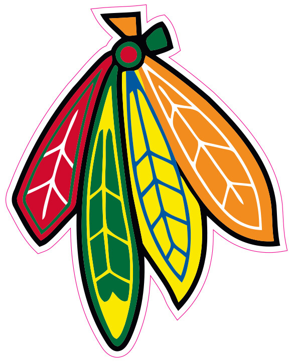 (NOT A PATCH) Chicago Blackhawks Hockey HTV Heat Transfer Vinyl Iron On