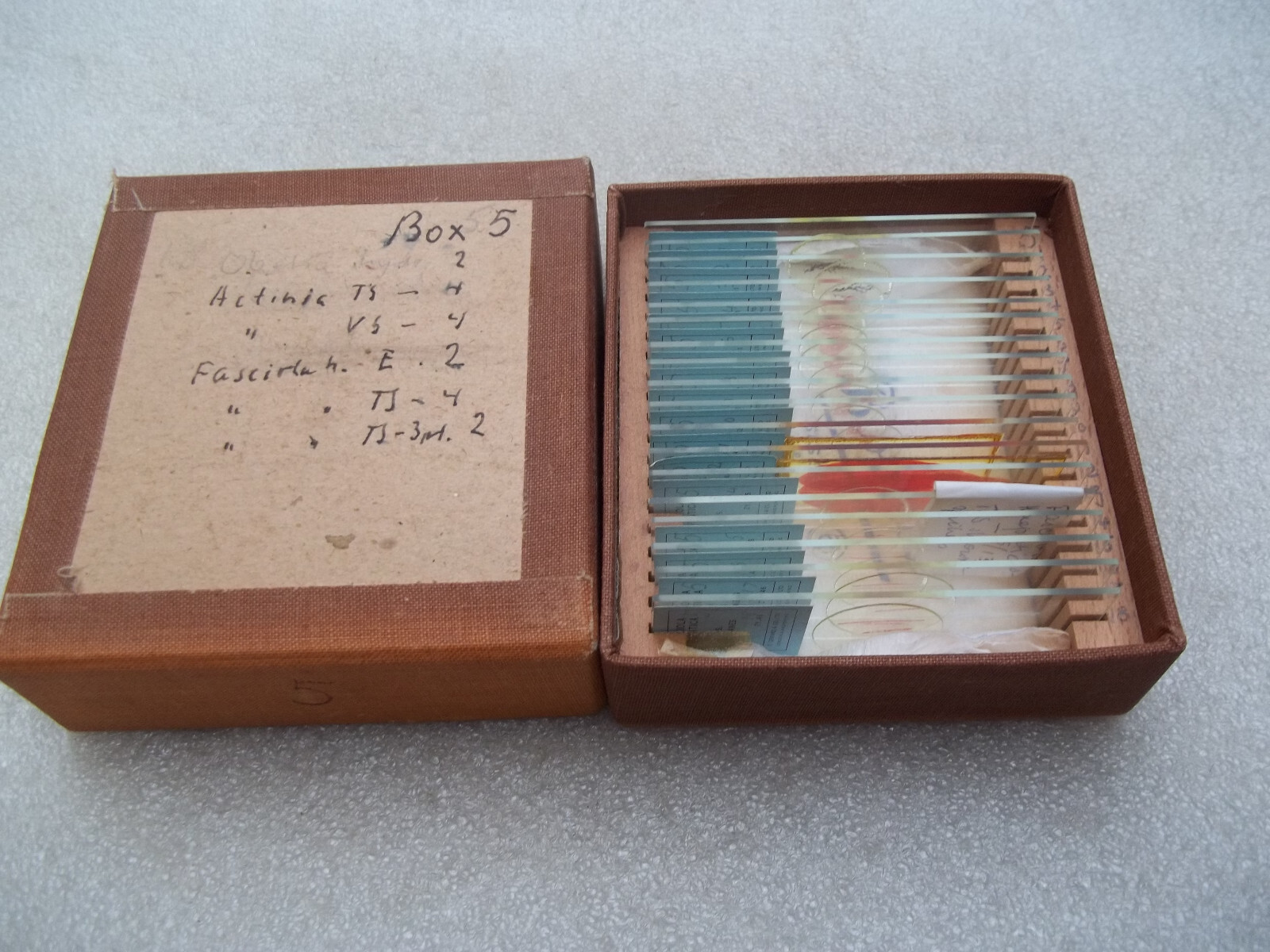 Vintage Glass Microscope Slides -