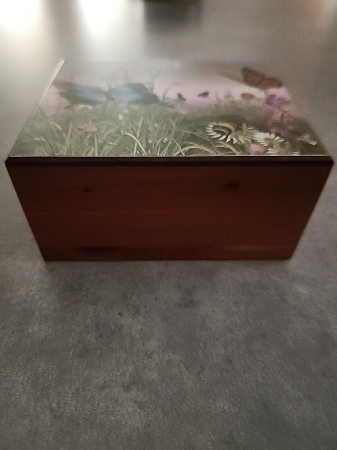 Butterfly Cedar Box 5x4x2 1/2