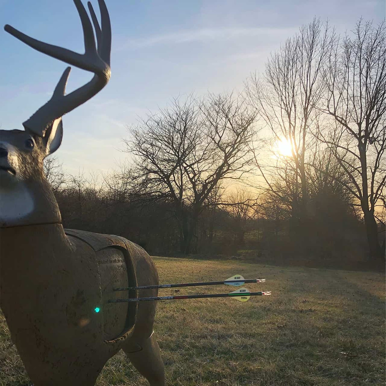 GlenDel Crossbow Buck 3D Archery Target