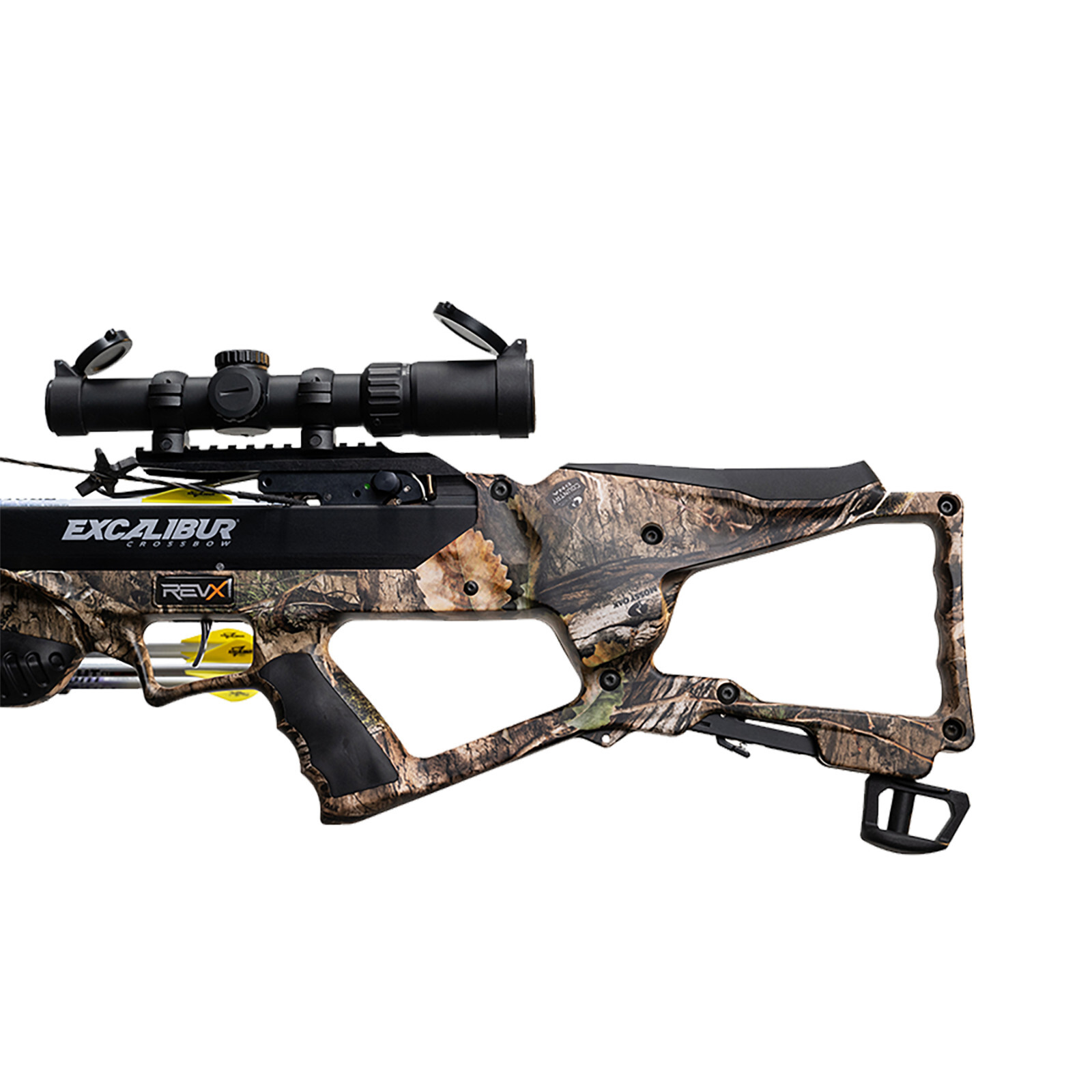 Excalibur REVX (MO Country DNA)
