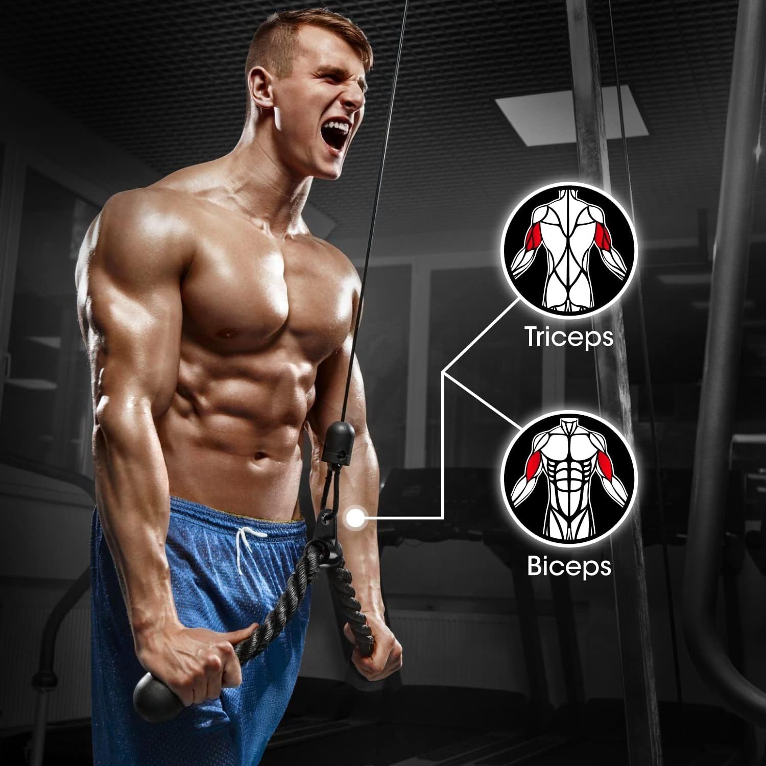 Tricep Rope & Cable Accessories - 4-Piece Set for Optimal Workout Performance