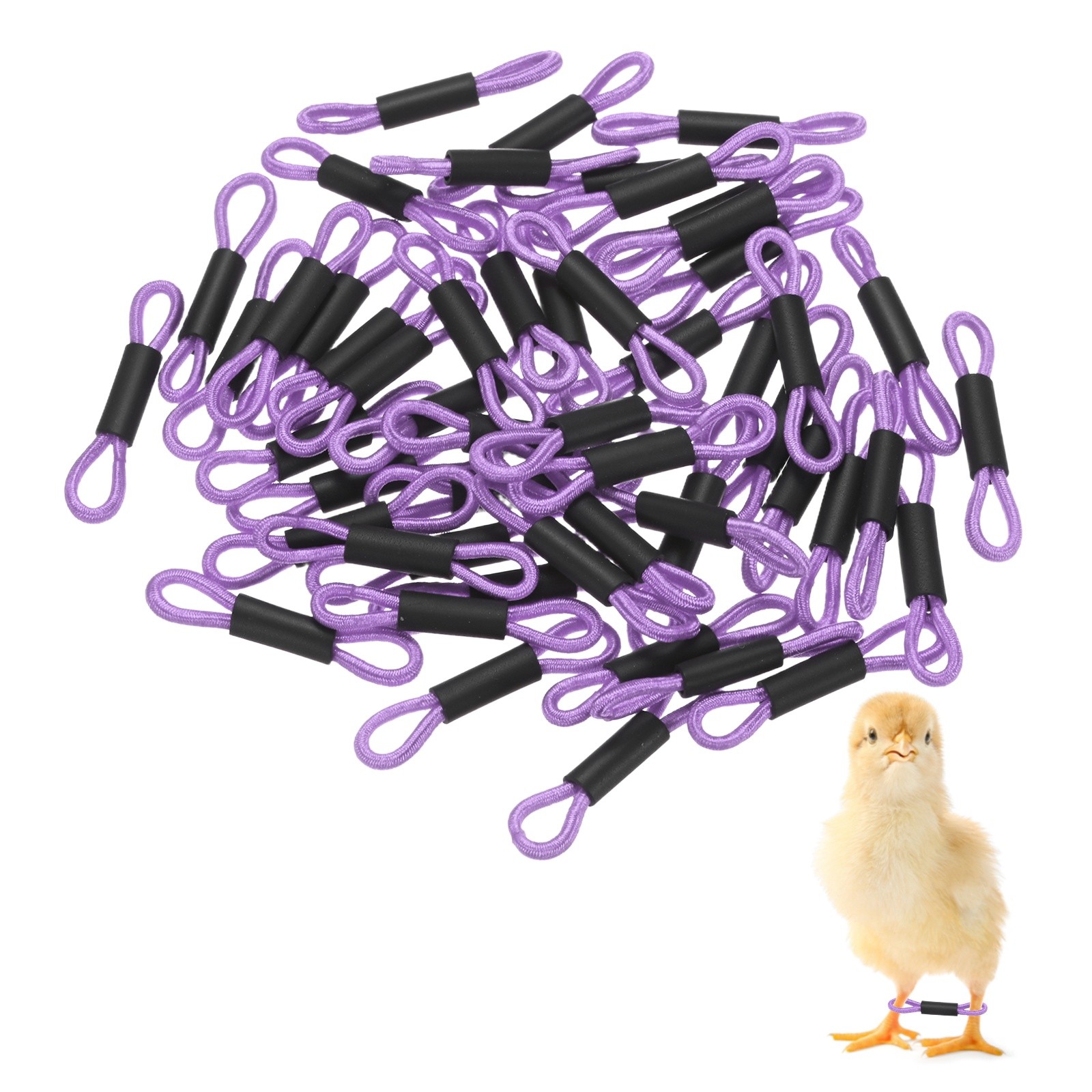 50-Pack Polyester Chick Leg Bands for Poultry/Chicks/Birds [Purple]