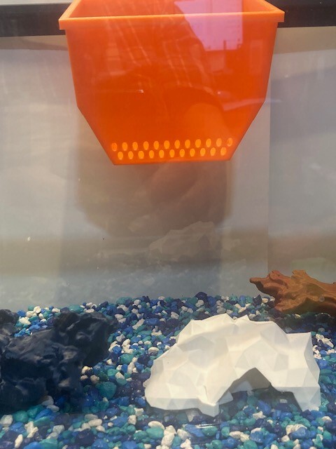 Easy Aquarium Water Refill Tool: Gentle Diffuser for Gravel and Decorations