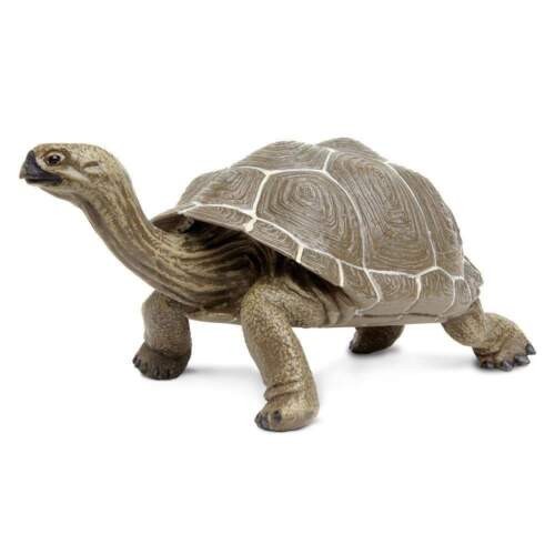 Incredible Creatures 260729 Galapagos Adult Tortoise figure Safari 60729