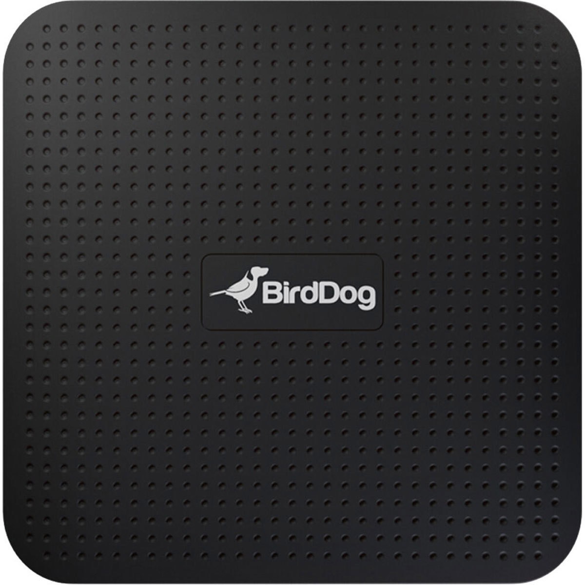 BirdDog PLAY 4K NDI Player