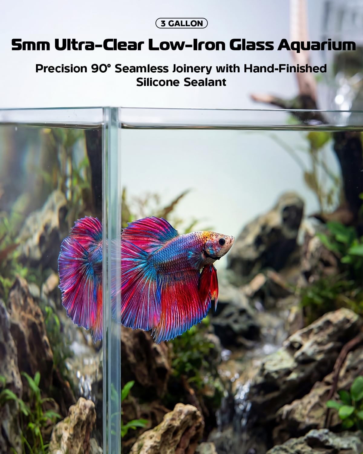Glass Fish Tank Kit, 3 Gallon Betta Fish Tank Aquarium Starter Kit with Filte...