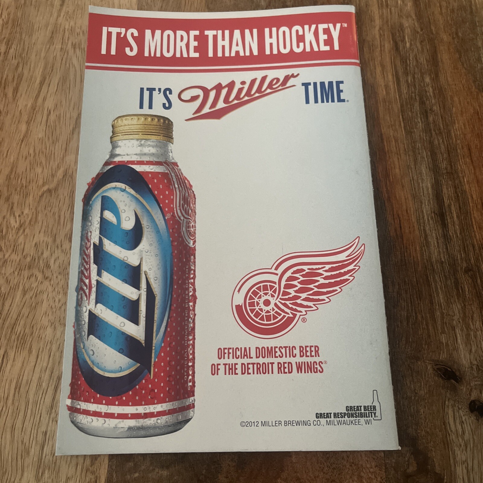 RED WINGS TODAY Stanley Cup Playoffs Program 2013 Vs BLACKHAWKS Perfect Shape