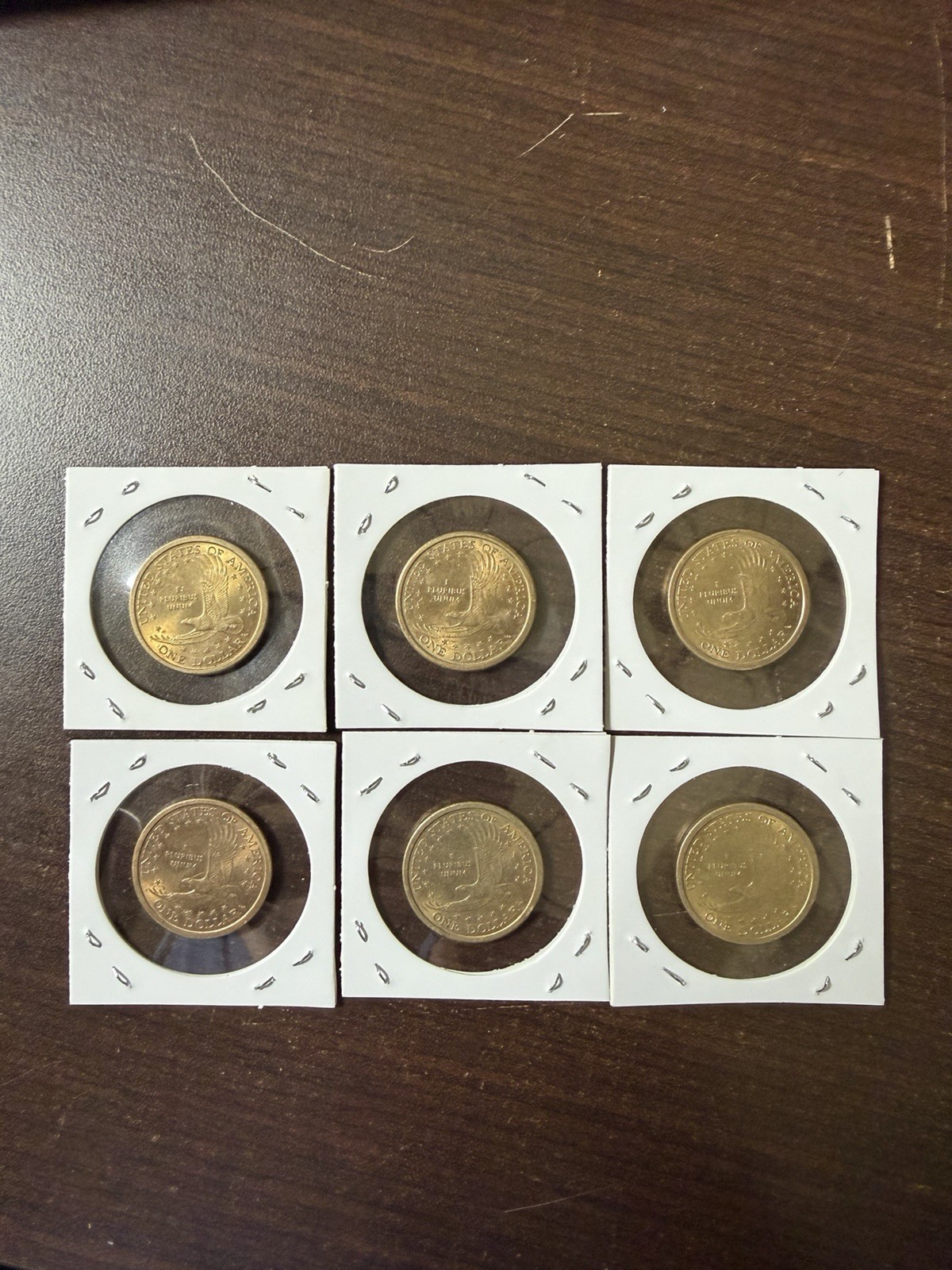 One Dollar Coin Sacagawea Lot
