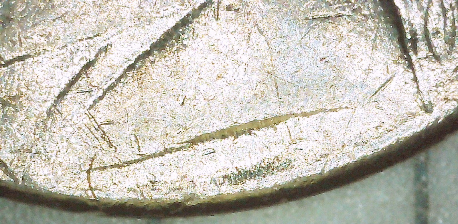 1994-P Jefferson Nickel DDR DDO Errors VF Missing FS