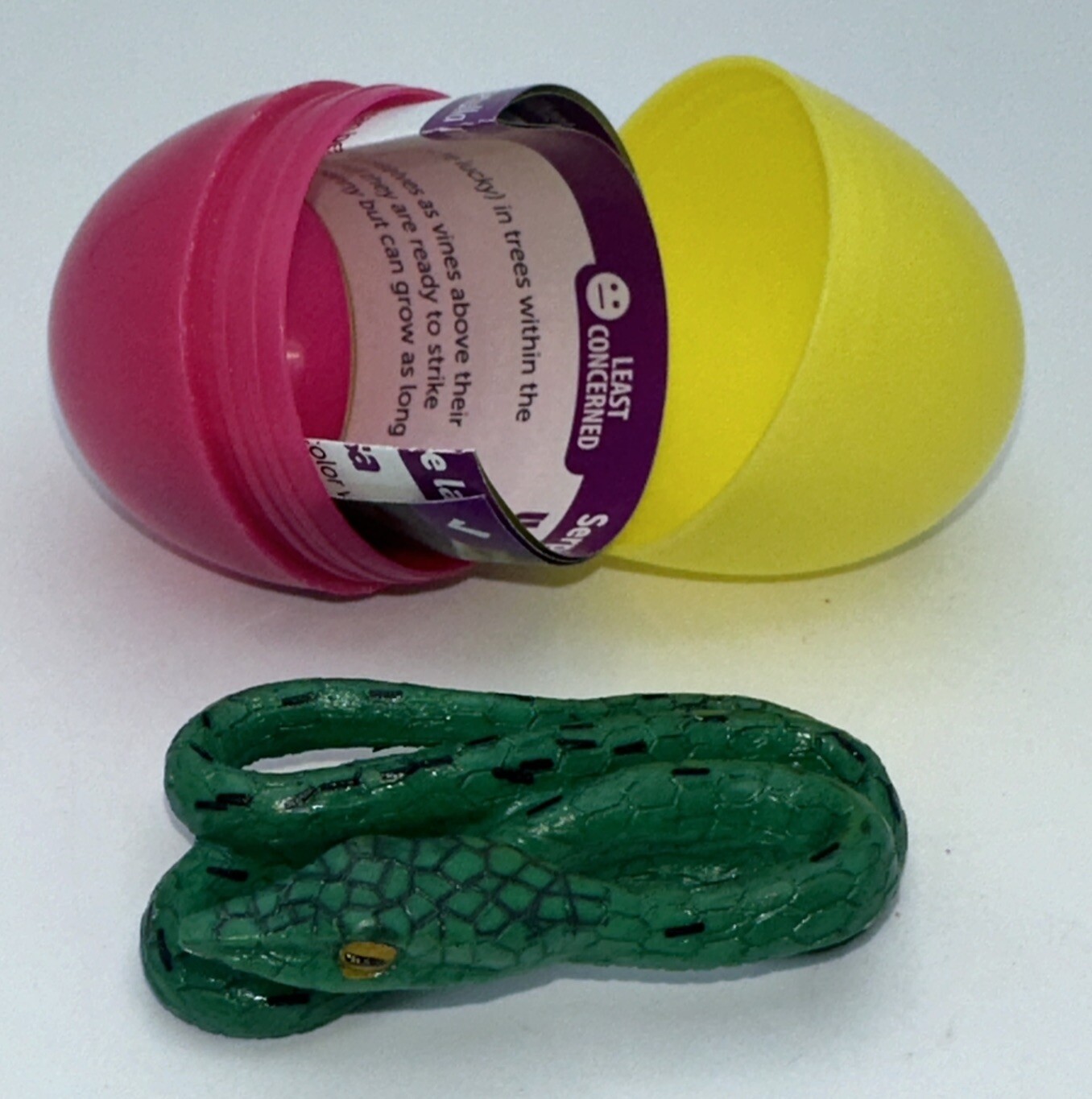YOWIE Green Vine Snake Colors of the Animal Kingdom Collection Figure with Egg