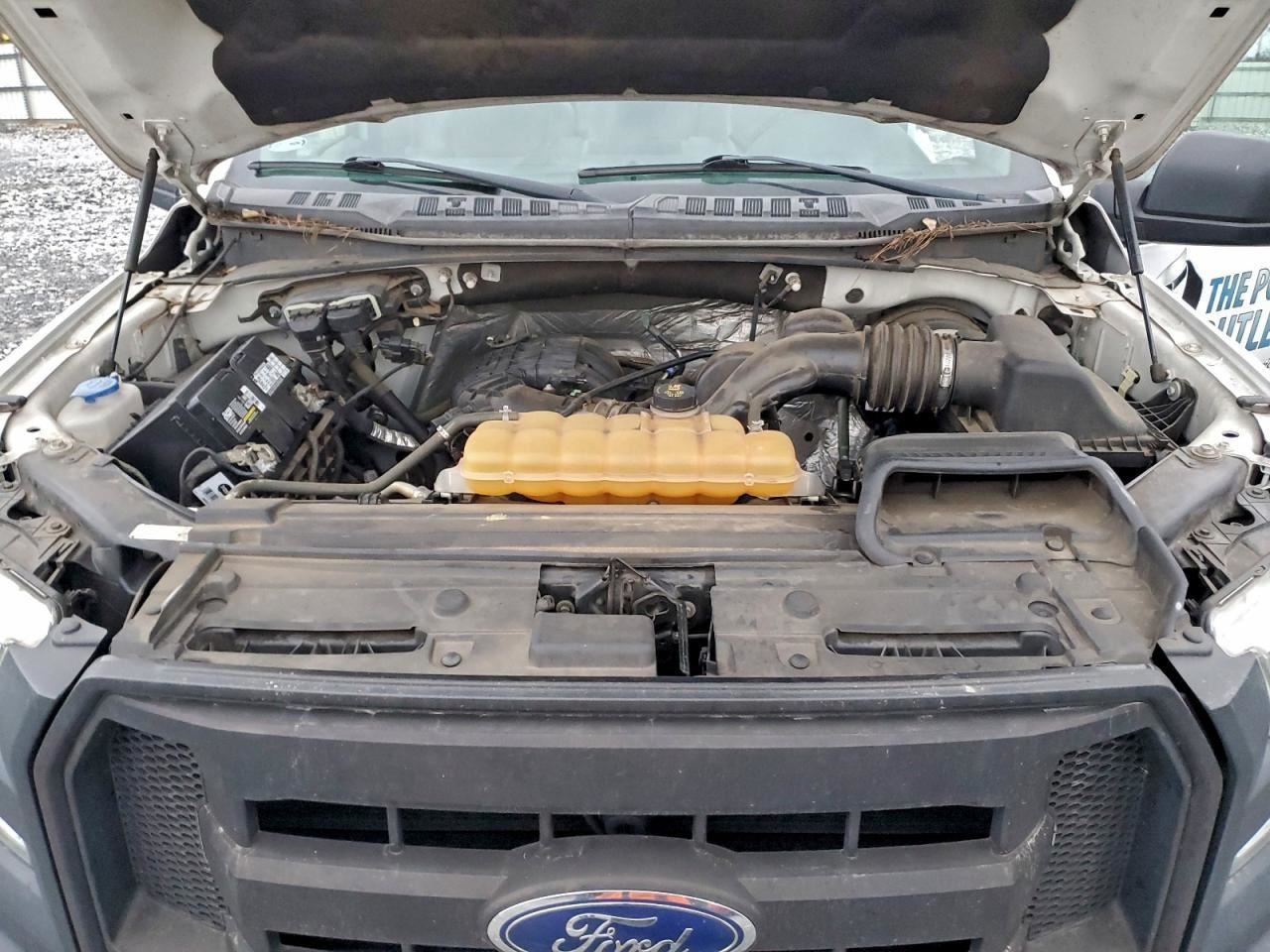 F150 2016 Glove Box 4953373