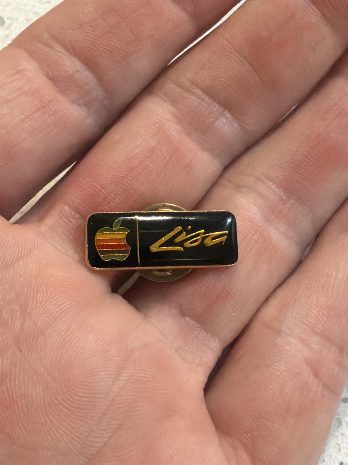 Vintage 1980s Apple Logo Rainbow Lisa Pin Brooch Macintosh