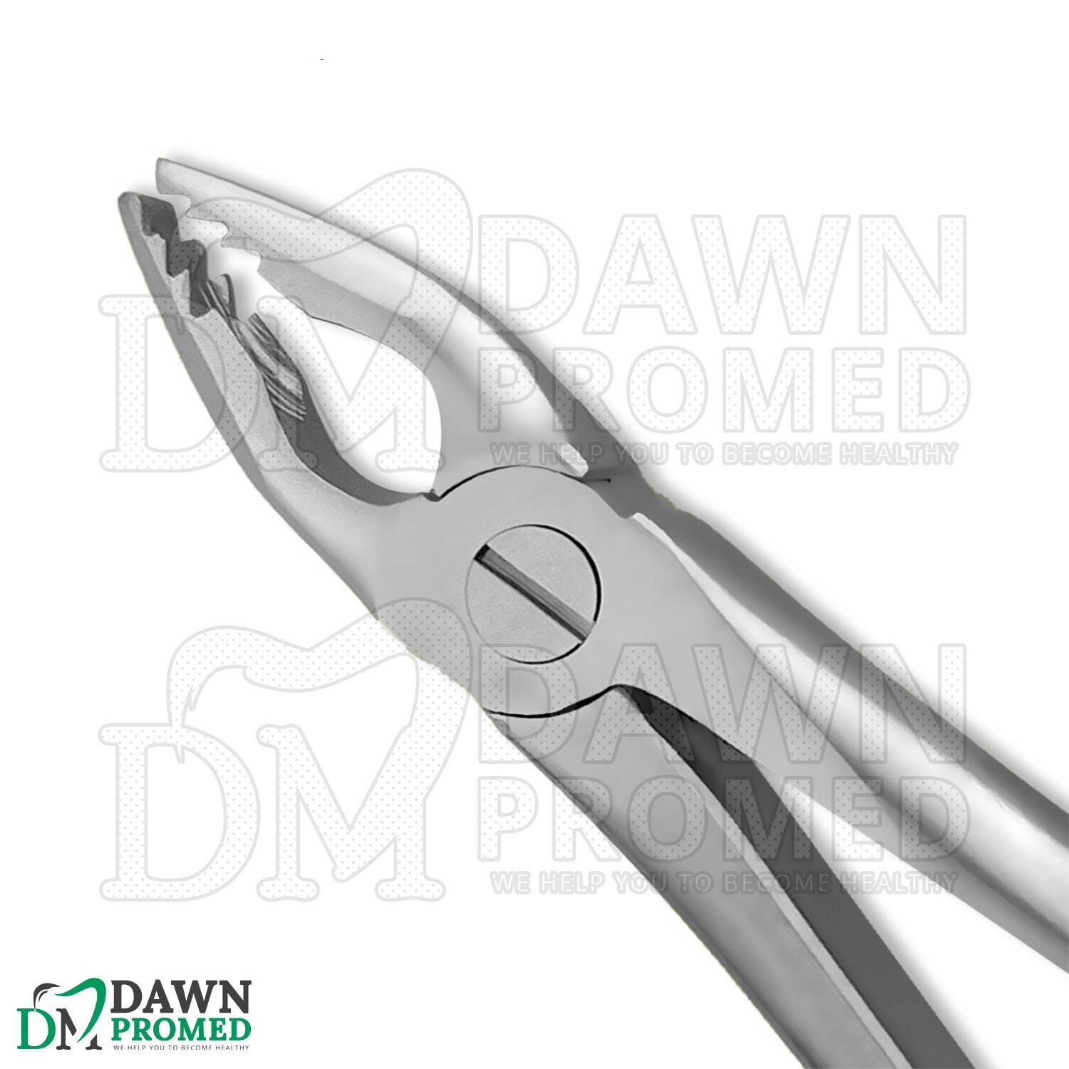 Dental Extracting Forceps #34M Gold Hollow Python Grip Handle German Grade