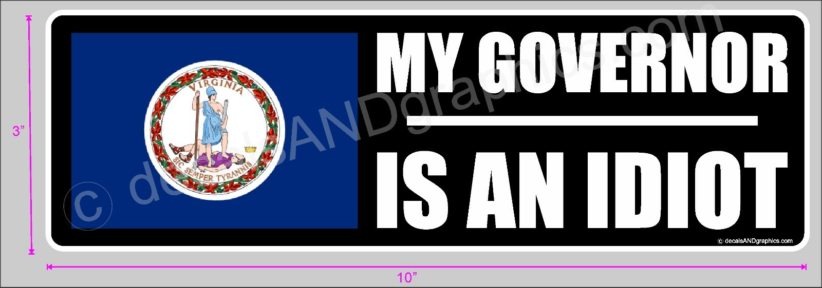 TRUMP 2020 STICKER VIRGINIA GOVERNOR IS AN IDIOT DECAL WINDOW BUMPER ELECTION