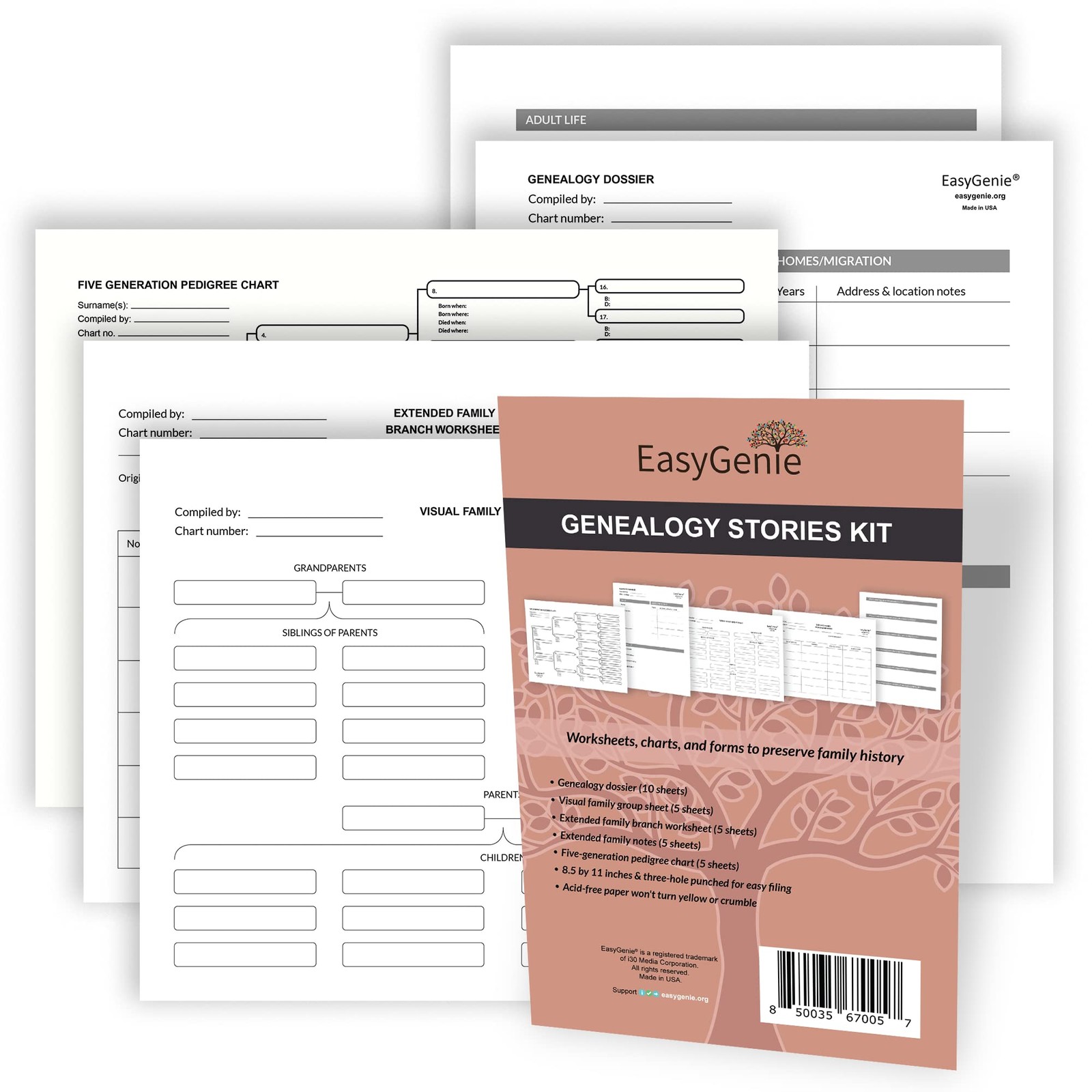 Genealogy Stories Kit Worksheets Charts Forms Family History Ancestry 30 Sheet
