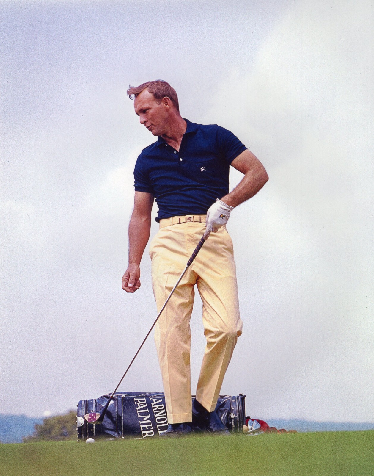 ARNOLD PALMER - YOU PICK SIZE