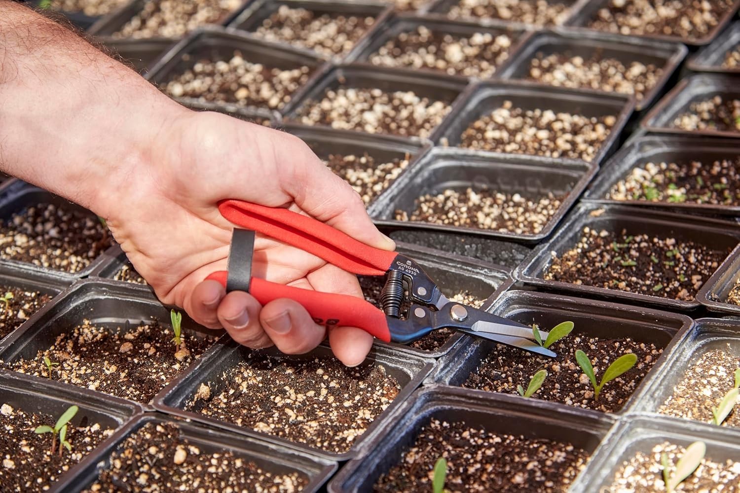 Exceptional Control Long Snip - Durable Tempered Steel for Pruning & Thinning