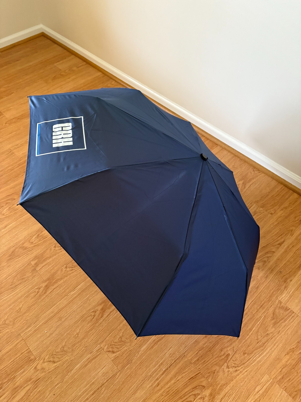 AAA Innovations Rain Alertz Powered Umbrella Blue New
