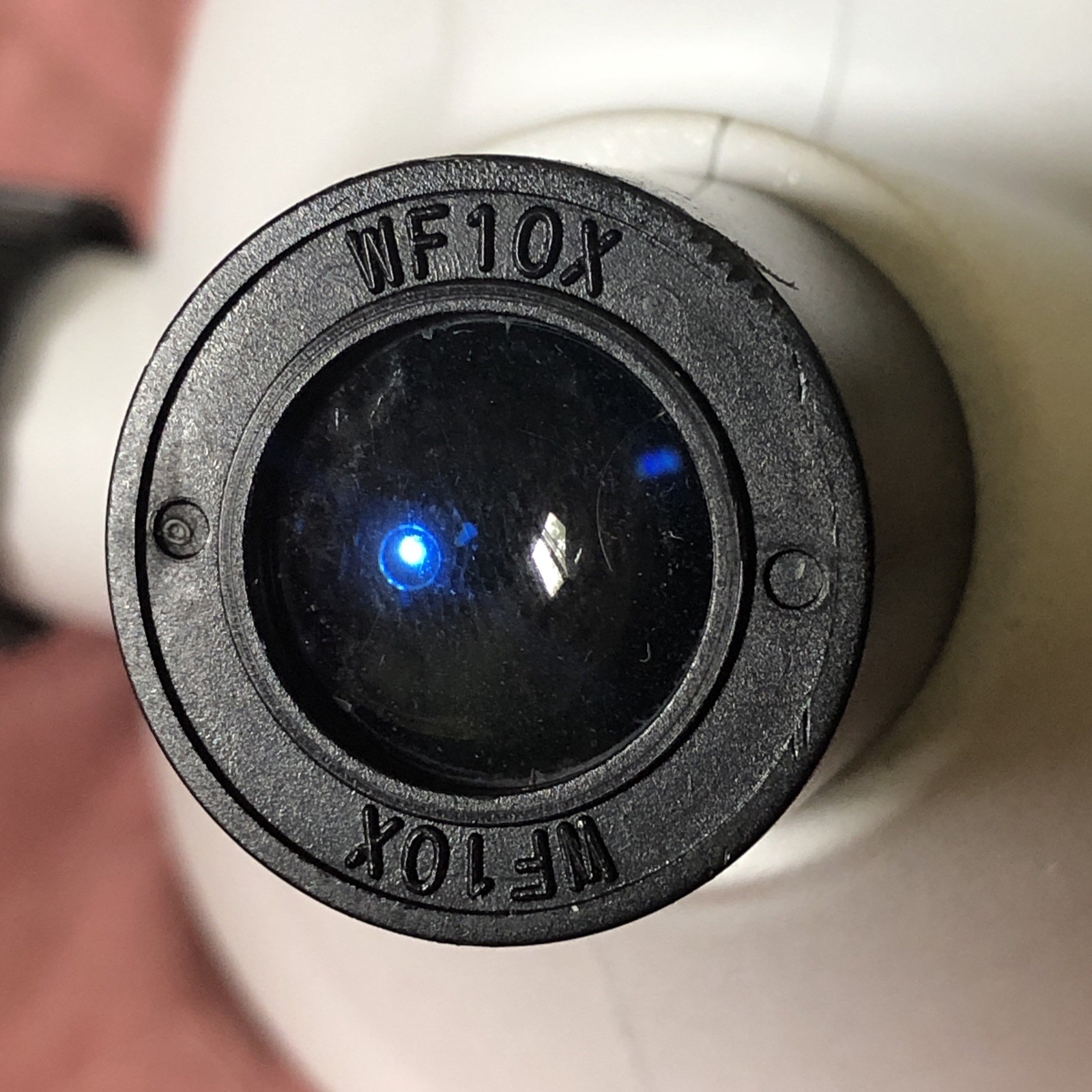 IQCrew Amscope TELMU Inverted Microscope