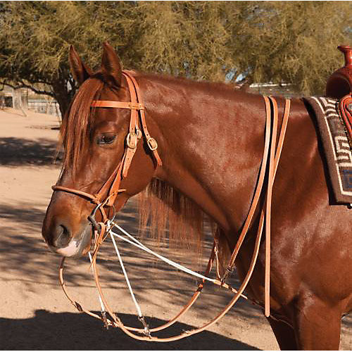 Al Dunning by Pro Choice Martingale w/Split Reins