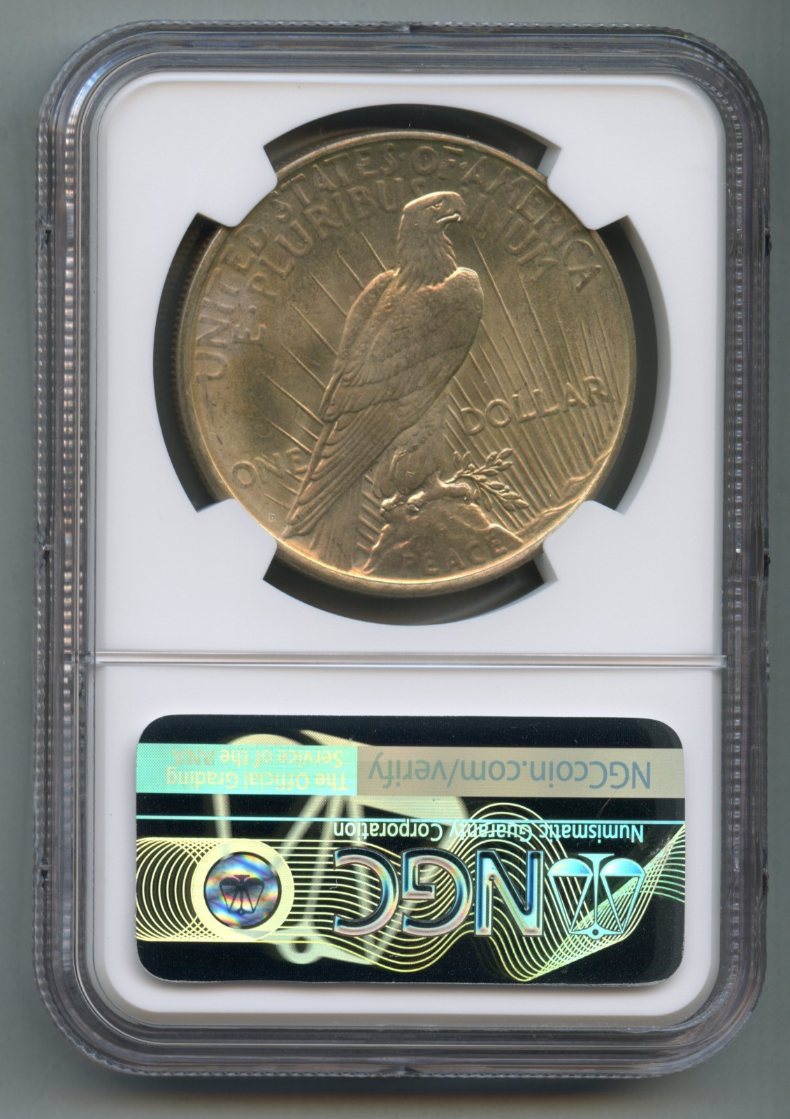 1926 D Peace Silver Dollar NGC MS 64