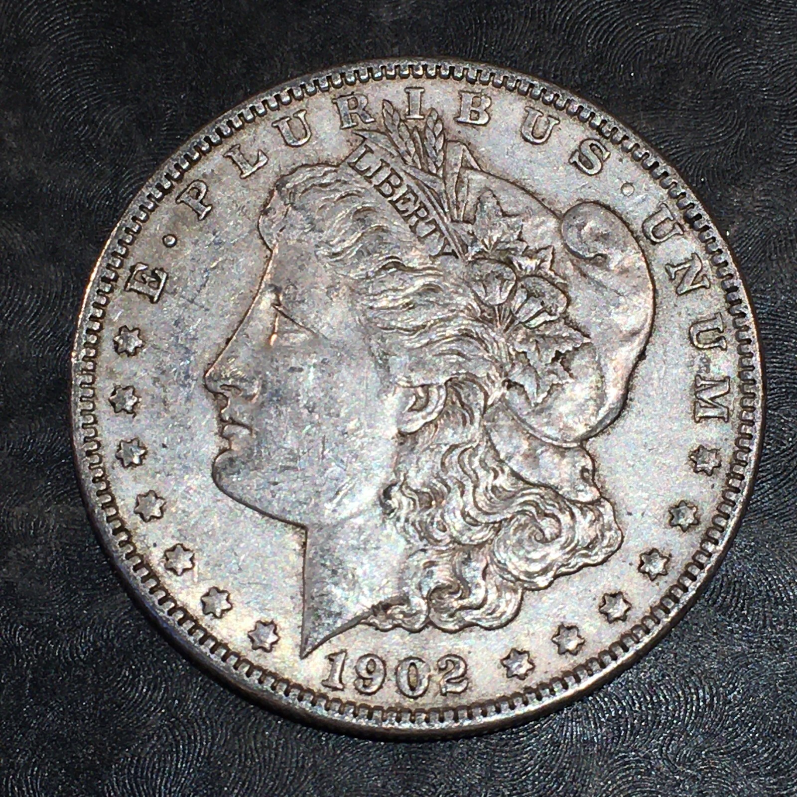 1902 Morgan Silver Dollar - High Quality Scans #N699