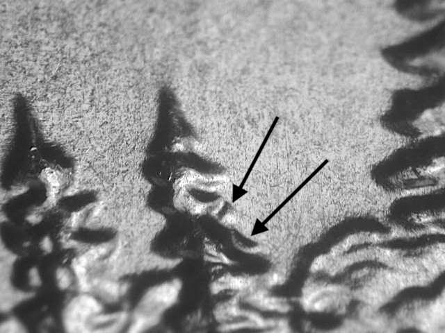 2005 P DDR-077 Ch/Gem BU Uncirculated Minnesota Quarter Doubled Die Error