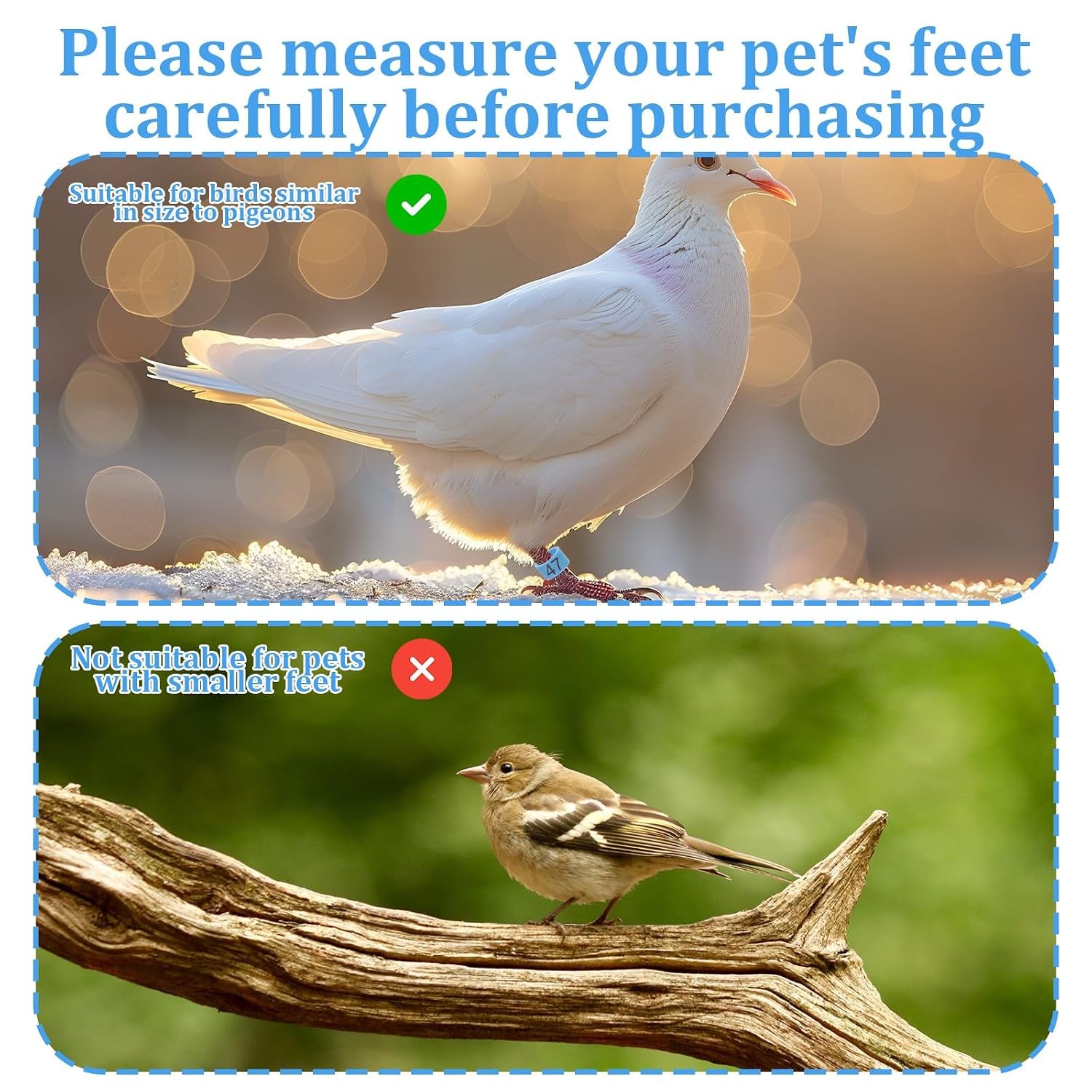 8mm Readable Numbered Bird Leg Rings, 10 Colors, Quail, Pigeon, Chicken