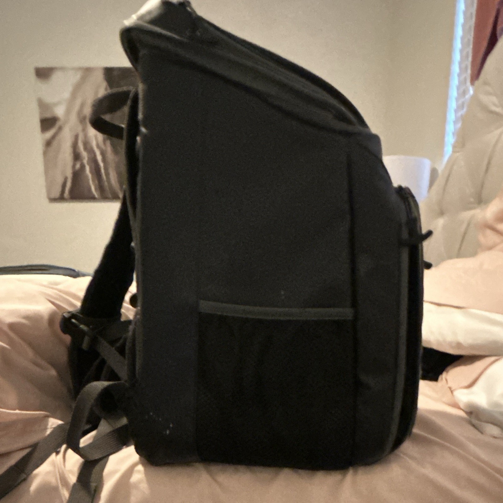 Igloo 16 qt Black Polyester Insulated Cooler Backpack Bag, Adjustable Straps