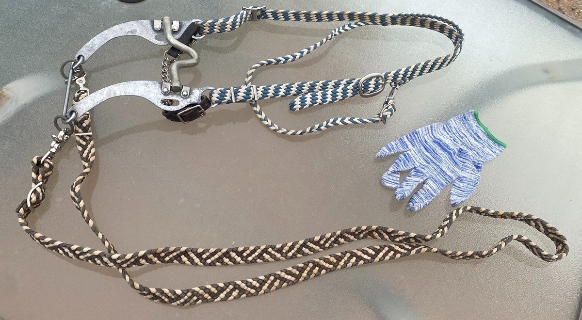 HORSE BIT - shanked center port / Mike Quick Maker + split ear bridle & reins
