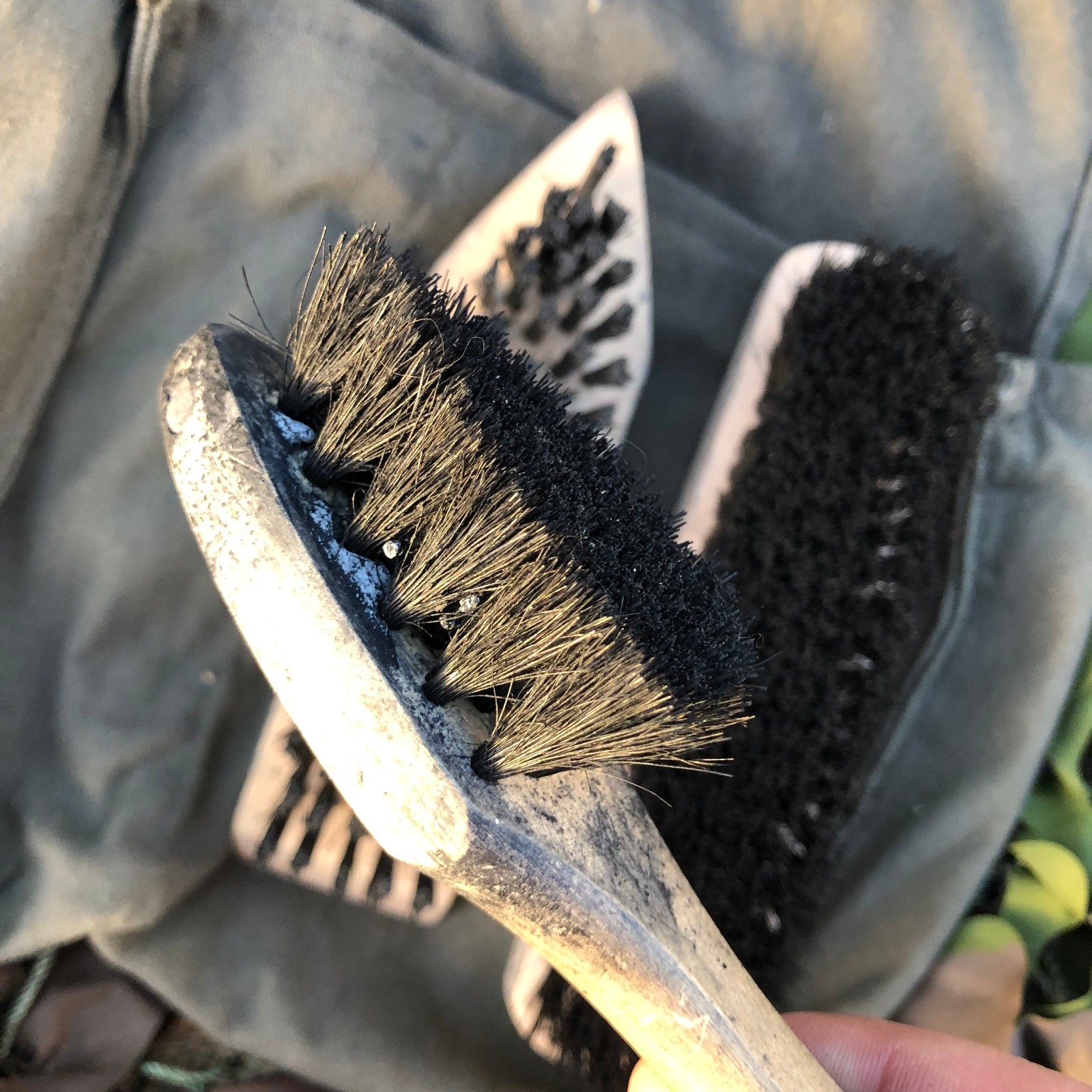 German Army Bunderwehr Three Brush Boot Cleaning Kit / Putzzeug - Issued