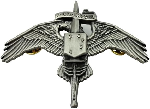 US MARINE SPECIAL OPERATOR INSIGNIA MARSOC BADGE WINGS PIN  GRAY