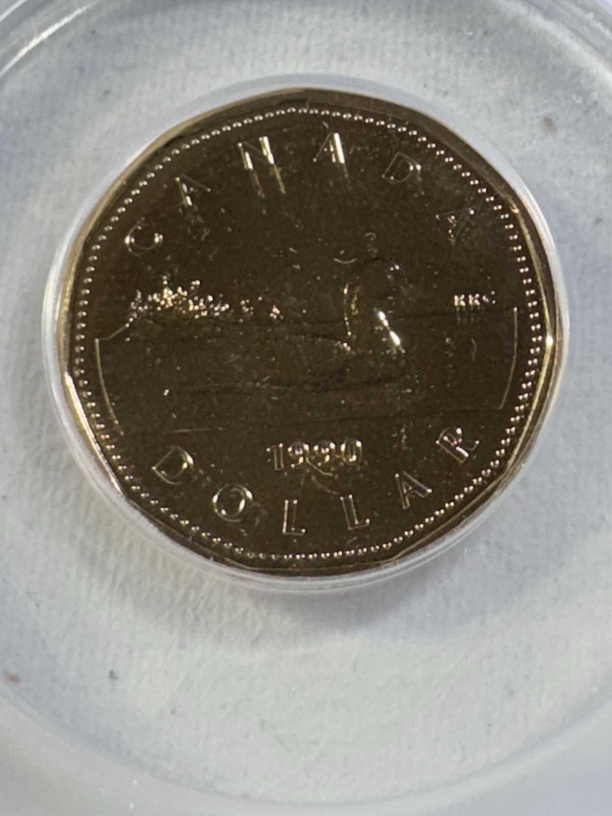 1990 Canada 1 Dollar Loonie Proof Like Graded MS 68 by ANACS