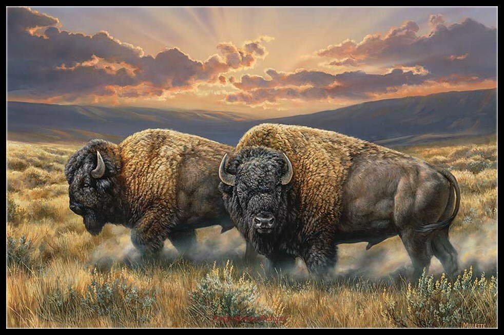 Dusty Plains Bison - DIY Chart Counted Cross Stitch Patterns Needlework 14 ct