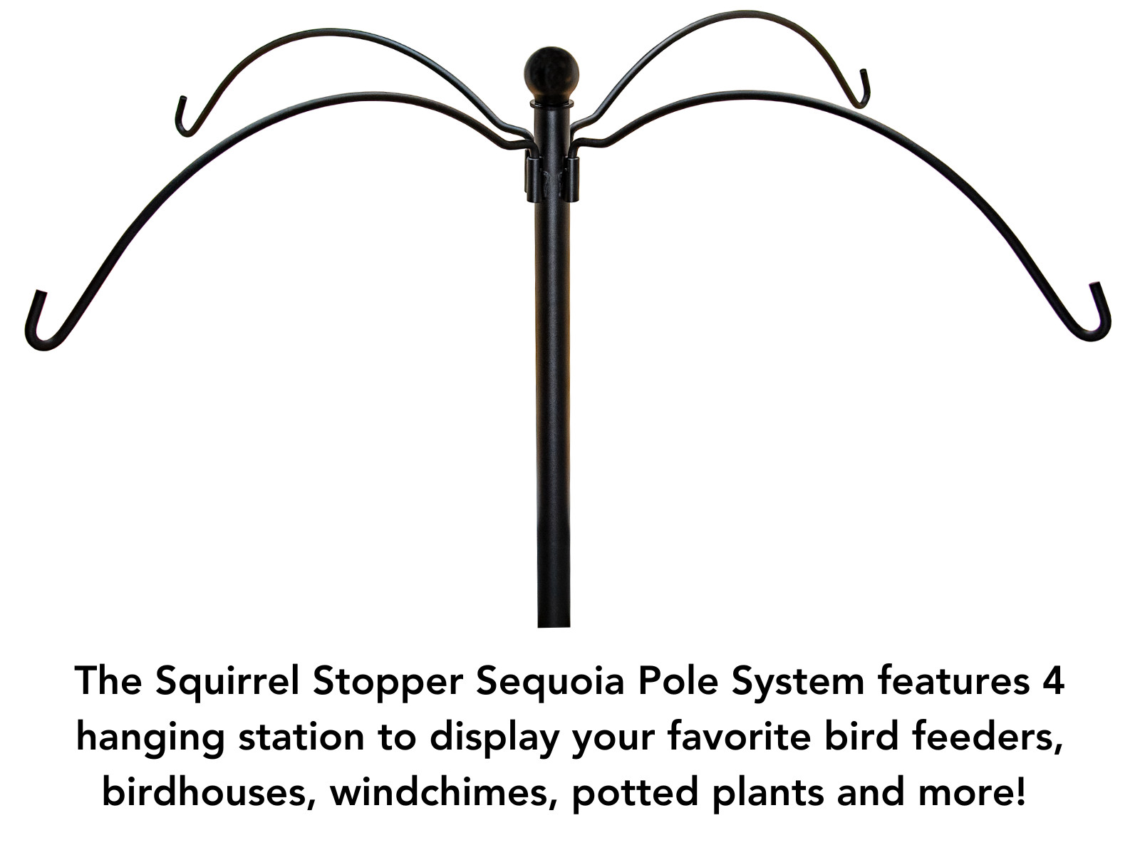 Squirrel Stopper Sequoia Squirrel Proof Bird Feeder Pole System with 4 Hanging