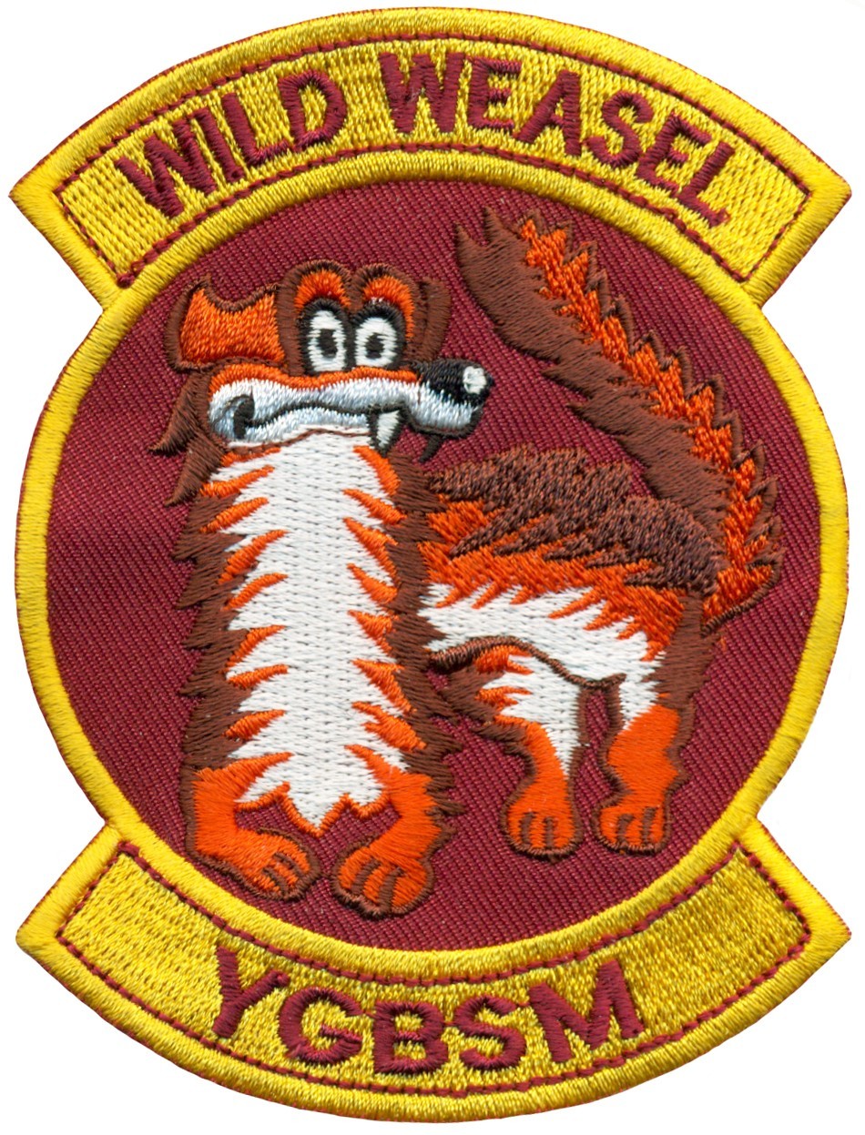 USAF WILD WEASEL YGBSM PATCH