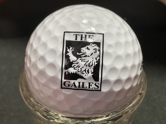 MICHIGAN "G" GOLF COURSE LOGO BALLS
