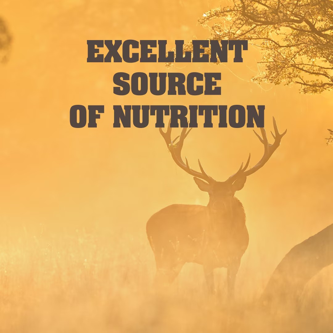 Manna Pro Top Score Apple Deer Corn 30lb