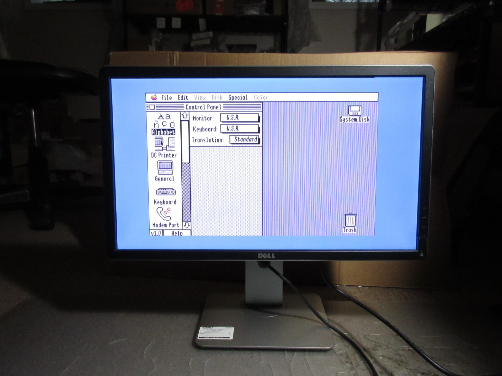Apple IIGS, Dell Flat Screen Monitor 22", II GS, VGA Cable, Adapter, Cord, Nice!