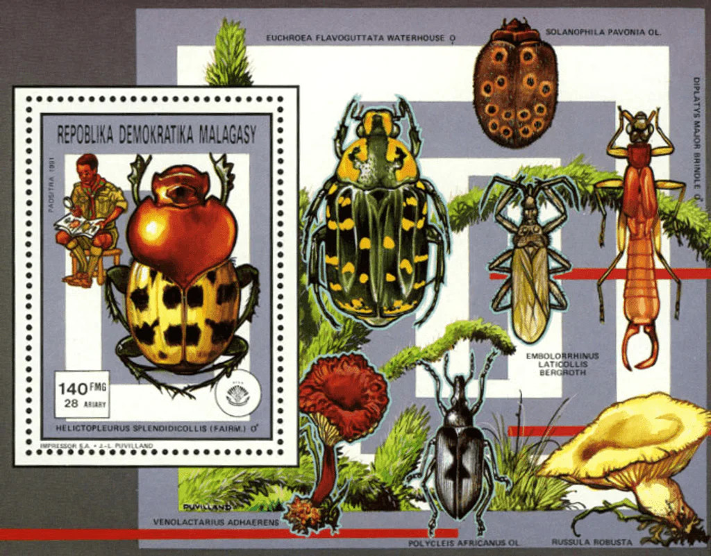 Madagascar Stamps 1991 Perf. Pathfinger Movement Insects & Fungi Luxury Block