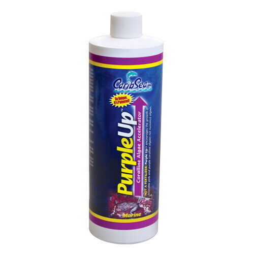RA PurpleUp - 16 fl oz