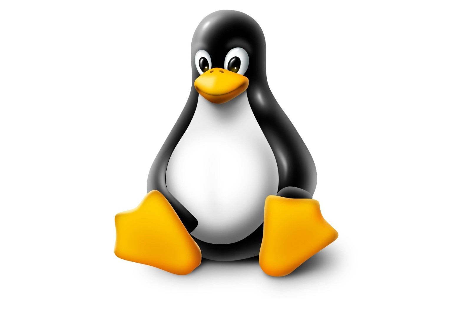 ALPINE Linux OS 64-Bit Live Install Bootable Software ~ 2025 edition