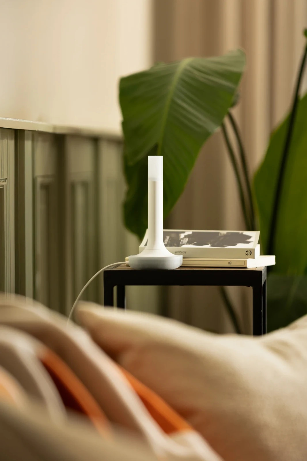Home Assistant Connect ZBT-2