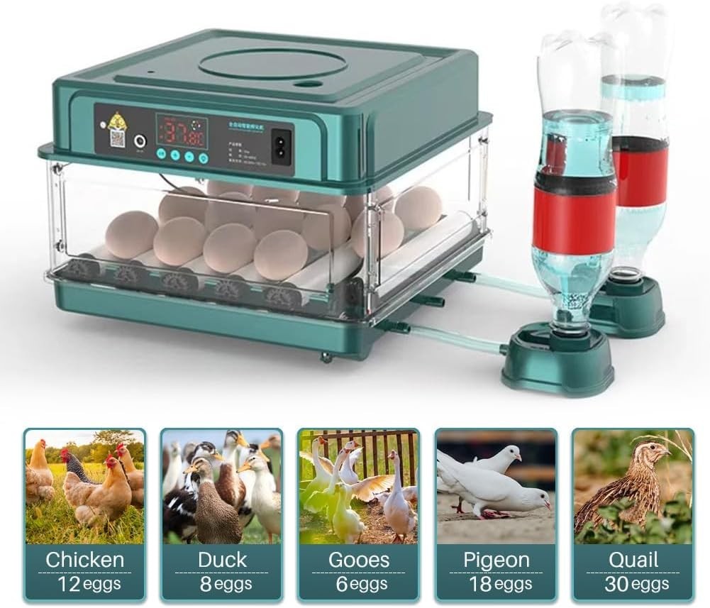Automatic Egg Incubator 12-38 Egg Digital Poultry Hatcher Machine ith Automatic