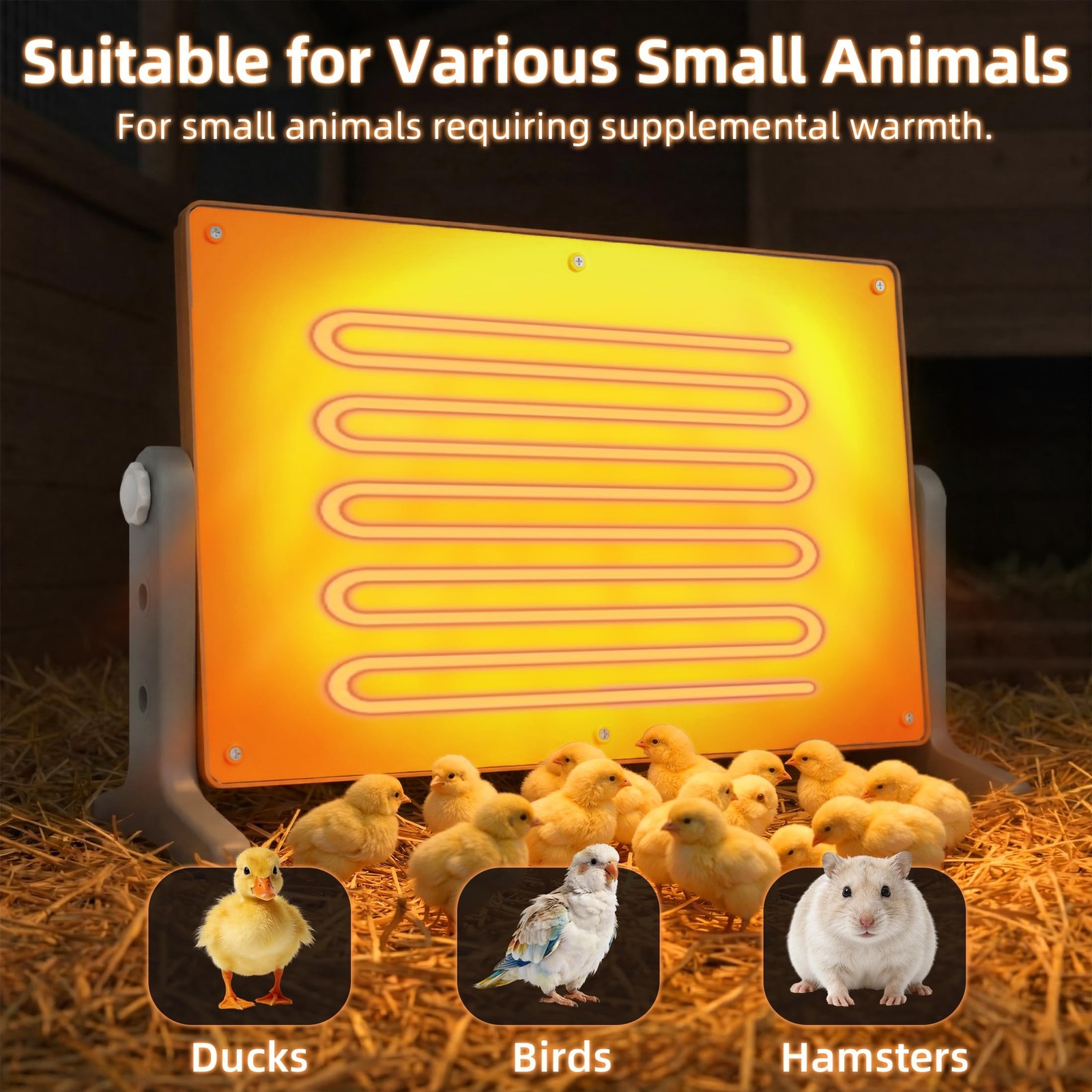 Chick Brooder Heater Plate – 12" x 8" Adjustable Height & Temperature Poul