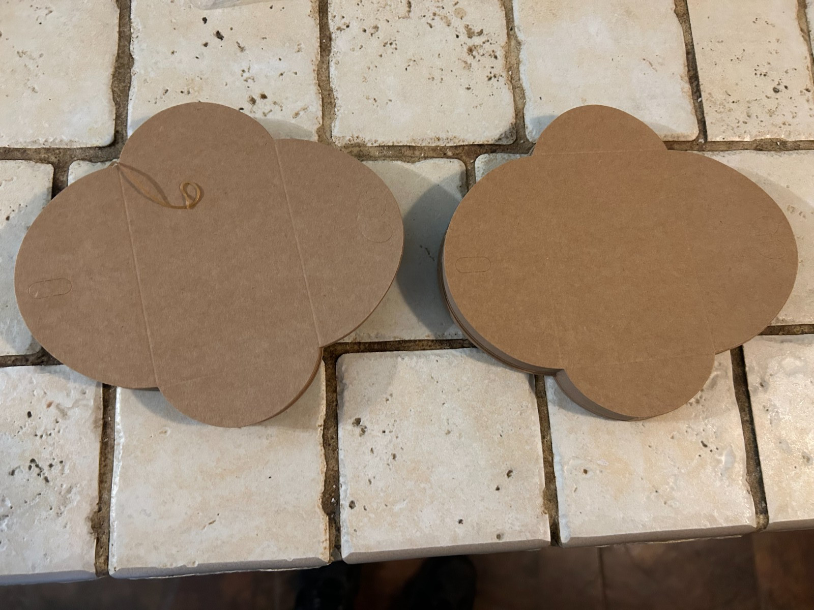 Blank Gift Card Envelopes (100 Pack)
